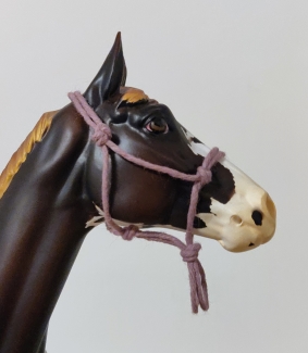 Tiago hemp rope halter right