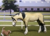 model horse hobby herd